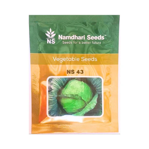 Namdhari NS 43 Cabbage Seeds