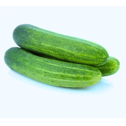 Figokart Jyoti F1 Hybrid Cucumber Seeds 129 Pis