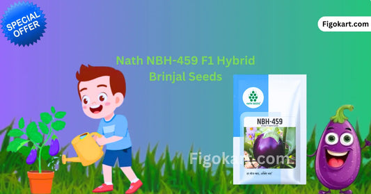 New Nath NBH-459 F1 Hybrid Brinjal Vegetable Seeds