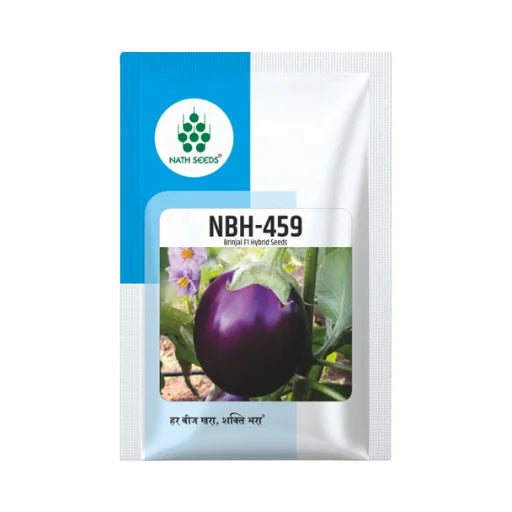 New Nath NBH-459 F1 Hybrid Brinjal Vegetable Seeds