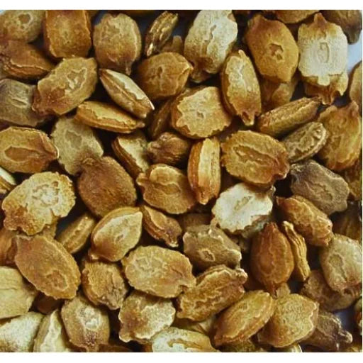 Figokart F1 Hybrid Bitter Gourd Seeds (29 Pis)