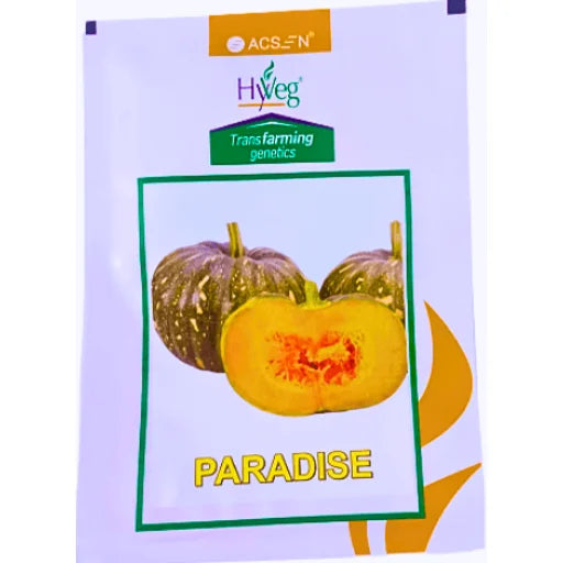 Acsen Hyveg Paradise F1 Hybid Pumpkin Seeds