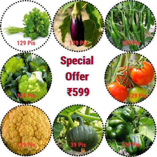 Figokart Special Offer All Seeds 129 Pis